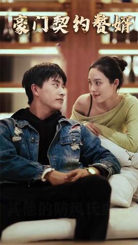 豪门契约赘婿